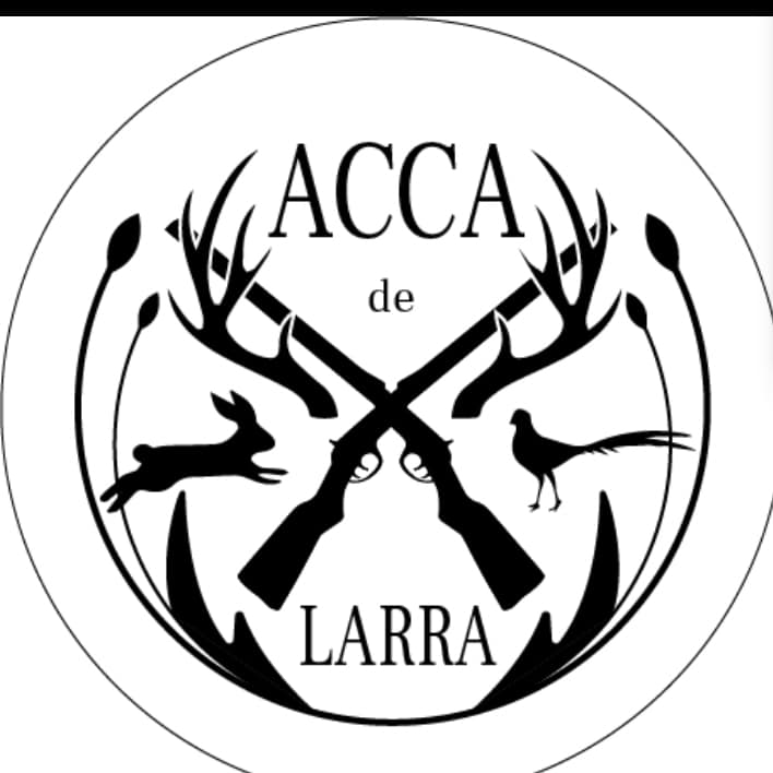 ACCA